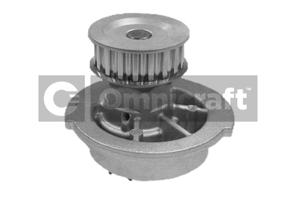 Pompe à eau, refroidissement du moteur Omnicraft 2317264