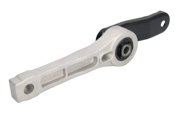 Support moteur REINHOCH RH12-0037