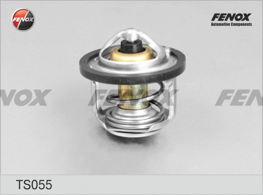Thermostat, liquide de refroidissement FENOX TS055