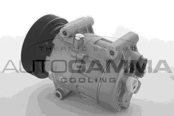Compresseur, climatisation AUTOGAMMA 108561