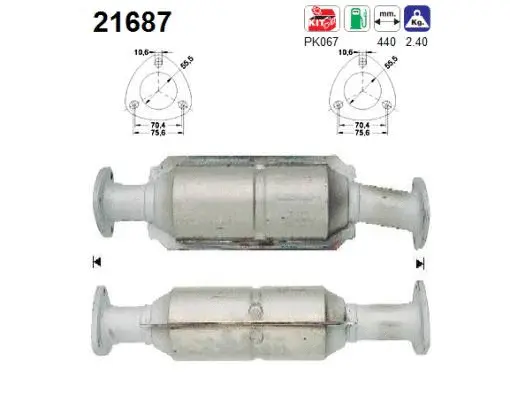 Catalyseur AS 21687