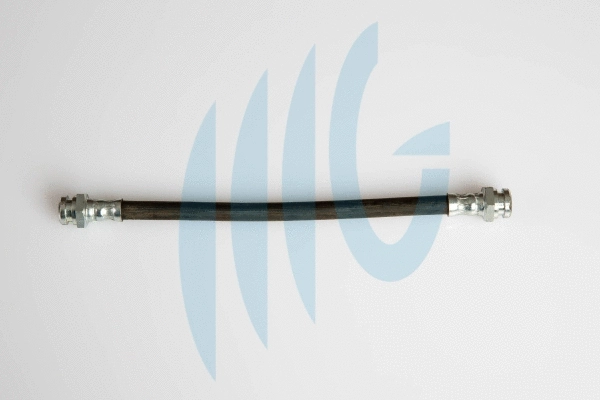 Flexible de frein RICAMBIFLEX GM 02300877