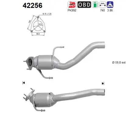 Catalyseur AS 42256