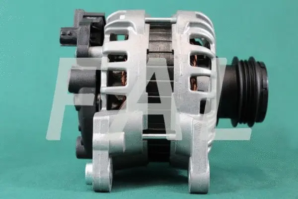 Alternateur FAL Anlasser- und Lichtmaschinenservice F012971/2