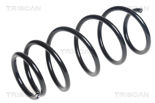 Ressort de suspension TRISCAN 8750 13193