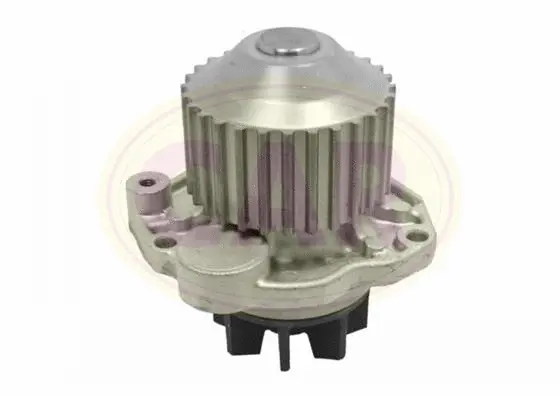 Pompe à eau, refroidissement du moteur CAR 332436
