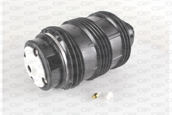 Ressort pneumatique, châssis OPEN PARTS ASP4006.00