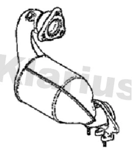 Catalyseur KLARIUS 312517