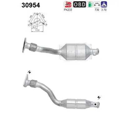 Catalyseur AS 30954