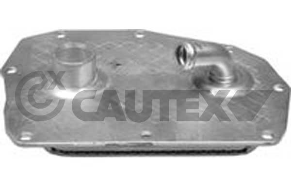 Radiateur d'huile CAUTEX 768817