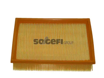 Filtre à air FRAM CA9651