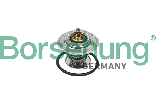 Thermostat, liquide de refroidissement Borsehung B18244