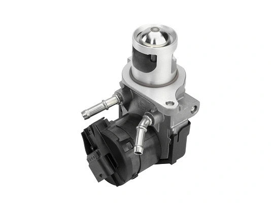 Vanne EGR BorgWarner 710327D/1