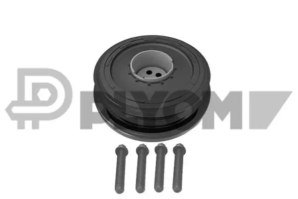 Kit de poulies, vilebrequin PLYOM P773743