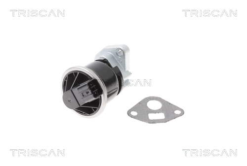 Vanne EGR TRISCAN 8813 40013