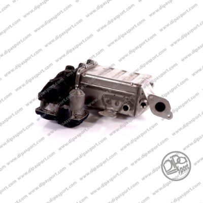 Module-EGR DIPASPORT EGR313CN
