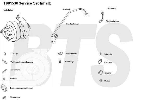 Turbocompresseur, suralimentation BTS Turbo T981530