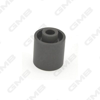 Poulie renvoi/transmission, courroie crantée GMB Oceania GT50630