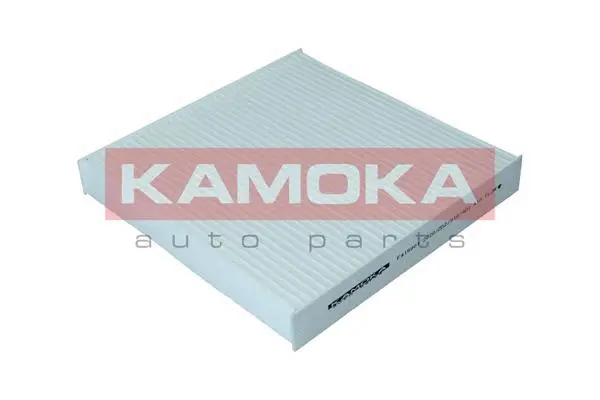 Filtre, air de l'habitacle KAMOKA F419901