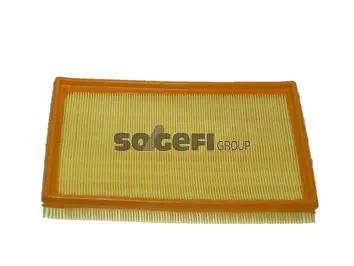 Filtre à air FRAM CA9767