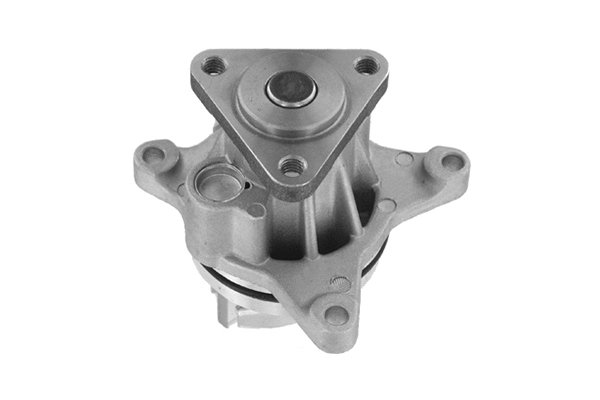 Pompe à eau, refroidissement du moteur SKF Brazil VKPC 84622