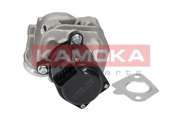 Vanne EGR KAMOKA 19029