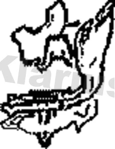 Support, silencieux KLARIUS 430347