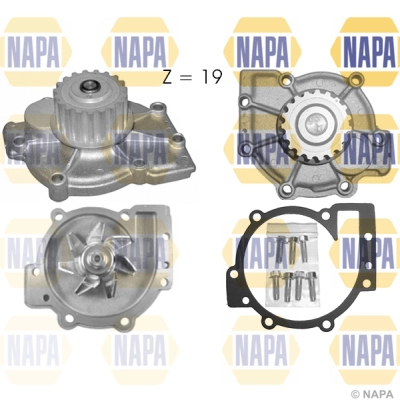 Pompe à eau, refroidissement du moteur NAPA NWP1440