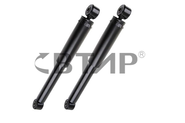 Amortisseur BTAP BVC305-021