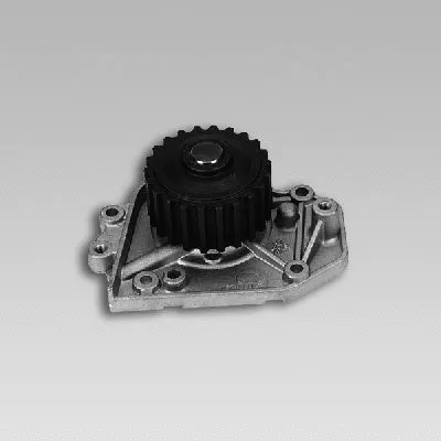 Pompe à eau, refroidissement du moteur GK 981784