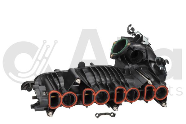 Module de tube d'admission Alfa e-Parts AF07223