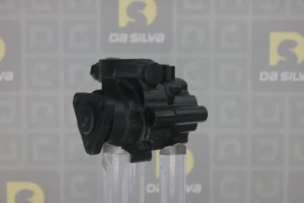 Pompe hydraulique, direction DA SILVA DP3332