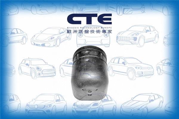 Suspension, bras de liaison CTE CBH06012