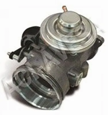 Vanne EGR ACI-AVESA AEGR-815