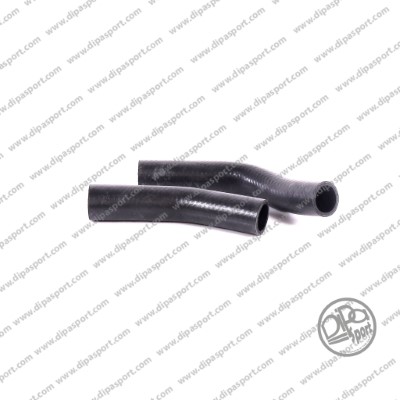 Gaine de suralimentation DIPASPORT HSEKLR031DPSN