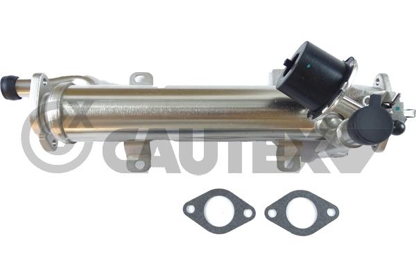 Radiateur, réaspiration des gaz d'échappement CAUTEX 772089