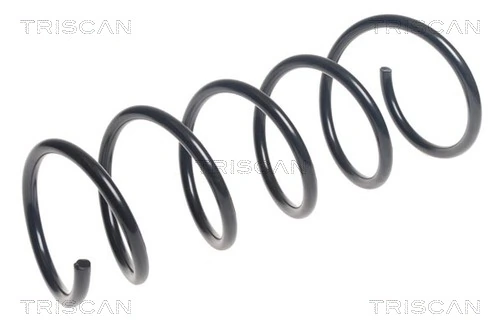 Ressort de suspension TRISCAN 8750 25130