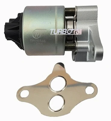 Vanne EGR TURBORAIL TR00546