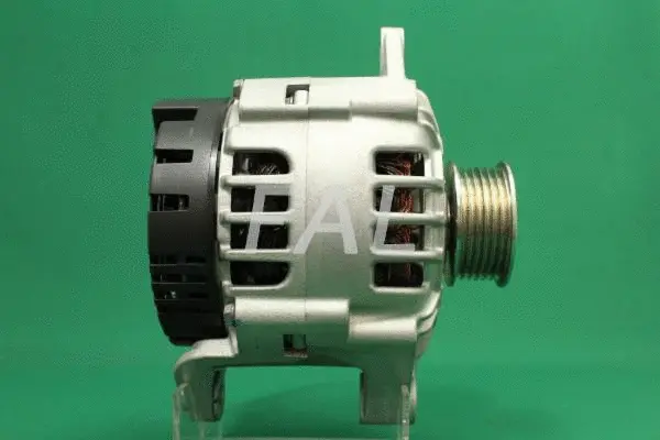 Alternateur FAL Anlasser- und Lichtmaschinenservice F003132/1