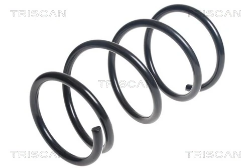 Ressort de suspension TRISCAN 8750 6847
