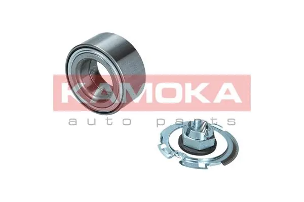 Kit de roulements de roue KAMOKA 5600212
