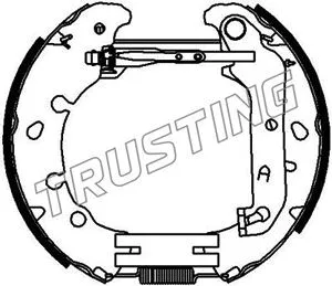 Jeu de mâchoires de frein TRUSTING 6391