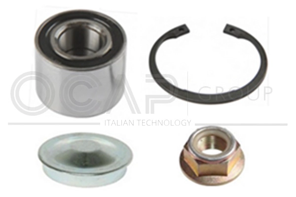 Kit de roulements de roue OCAP 6120100