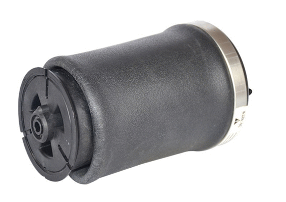 Ressort pneumatique, châssis GOLD 6510061