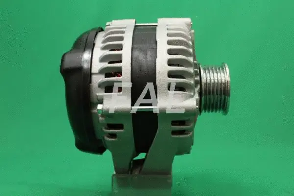 Alternateur FAL Anlasser- und Lichtmaschinenservice F016143/25