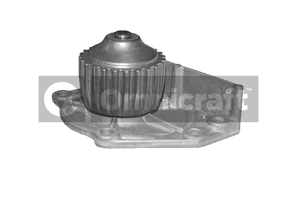 Pompe à eau, refroidissement du moteur Omnicraft 2317320