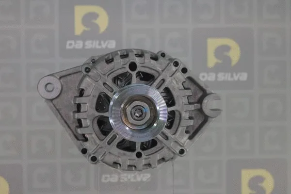 Alternateur DA SILVA 011925