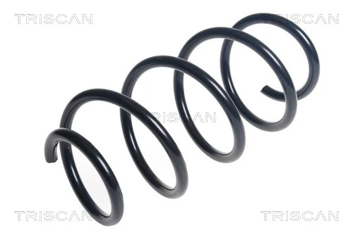 Ressort de suspension TRISCAN 8750 29433