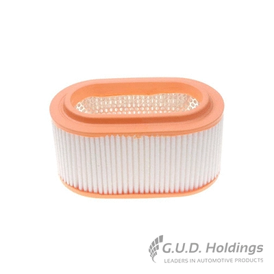 Filtre à air GUD AG1366