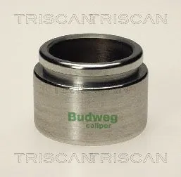 Piston, étrier de frein TRISCAN 8170 234209